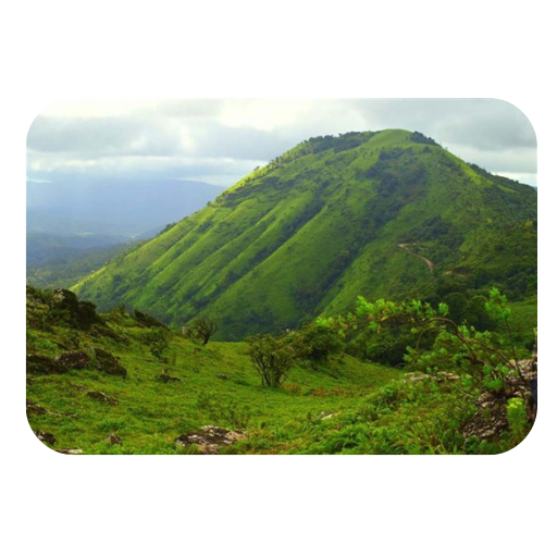 Chandragiri Hills at Baba Budan’s coffee plantation in Karnataka, India