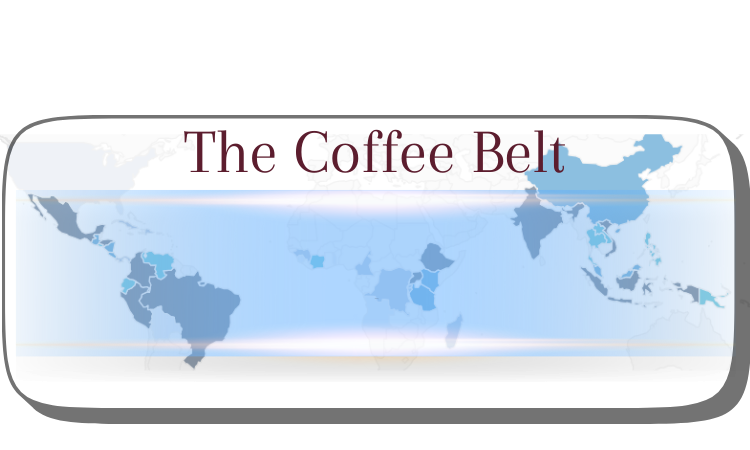 The coffee producing countries around the world that form a belt between the Trpoic of Cancer and The Tropic of Capricorn