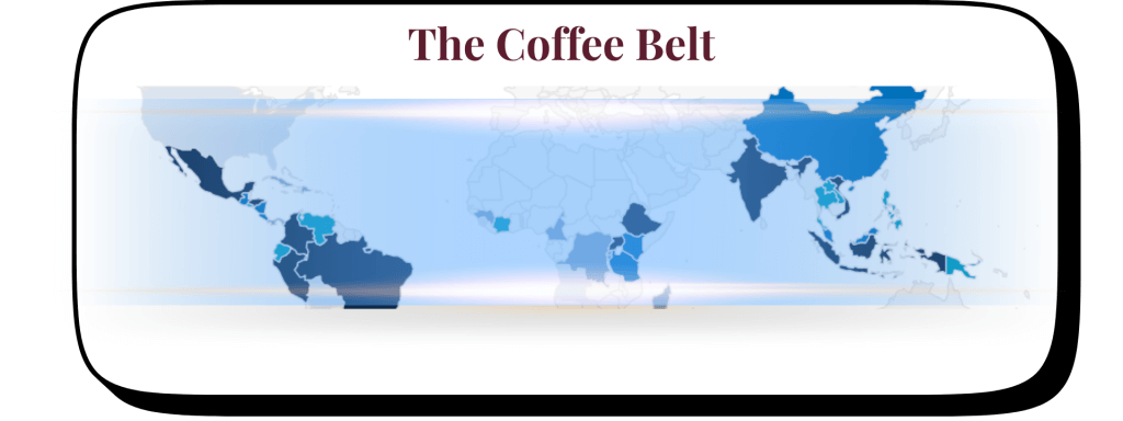 the coffee belt of Coffee Producing countries within the optimum growing region