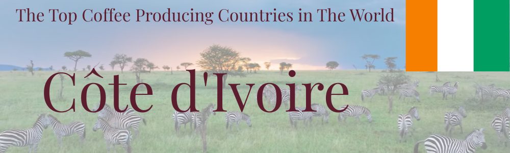 Cote-dIvoire coffee hrader