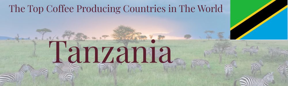 Tanzania Coffe Headerr