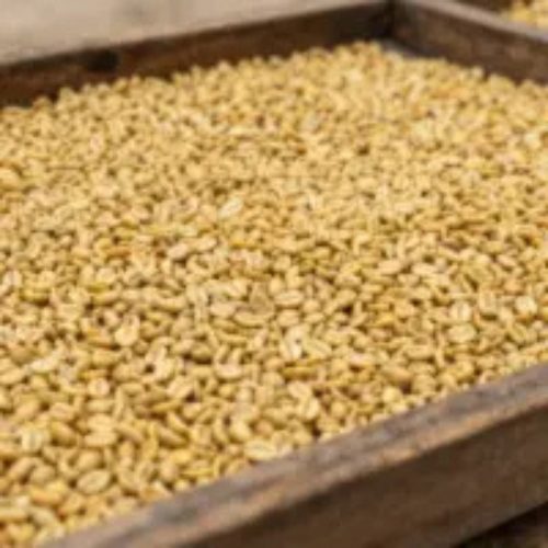 Yeloo Honey Processing Methos
