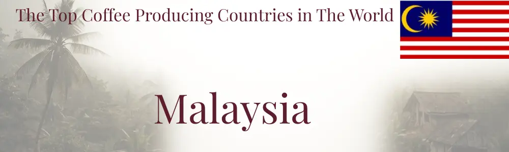 Malaysian coffee header
