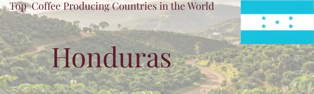 Honduras header with lush coffee plantation hillsides.