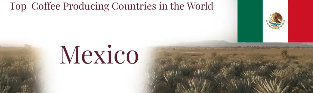 Mexico landscape with agave fields and the Sierra Madre mountains, and the national flag