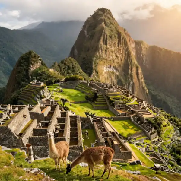 Machu Picchu with llamas and misty Andes peaks in golden light.