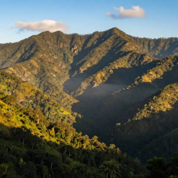 Sierra Madre del Sur — rugged forested peaks with golden light and misty valleys