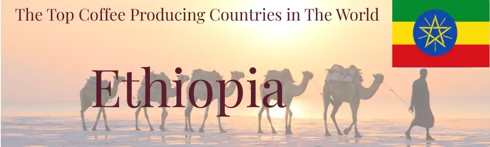 Top producing countries Ethiopia