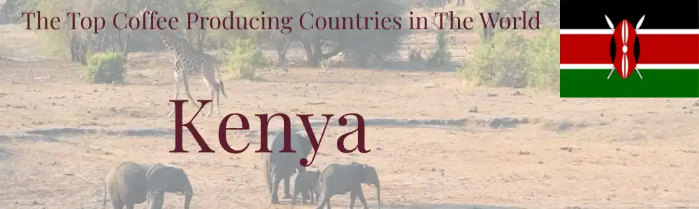 top coffee production countries Kenya