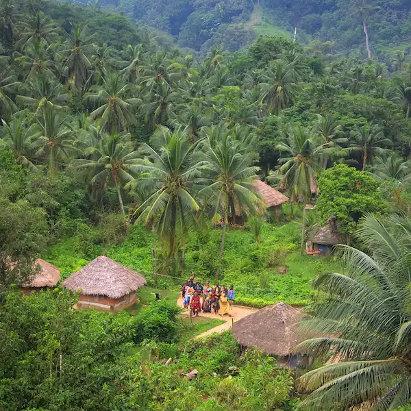 traditional Côte d'Ivoire villages with thatched roof huts nestled among lush tropical rainforest, vibrant green vegetation, palm trees, and the rich natural landscape. tropical beauty of Côte d'Ivoire with people in colorful traditional clothing going about their daily lives.