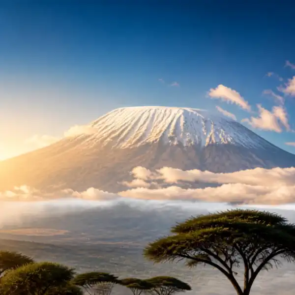 Mount Kilimanjaro, snow capped elevating above the clouds