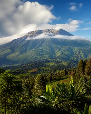 Mount Elgon Uganda backing the coggee plantations and tipping through the low cloud