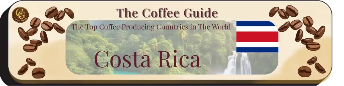 top coffee producing countries Costa Rica