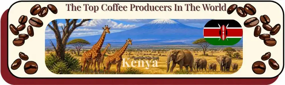 top coffee production countries Kenya
