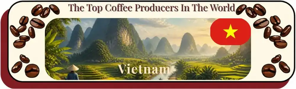 Top coffee producing countries - Vietnam