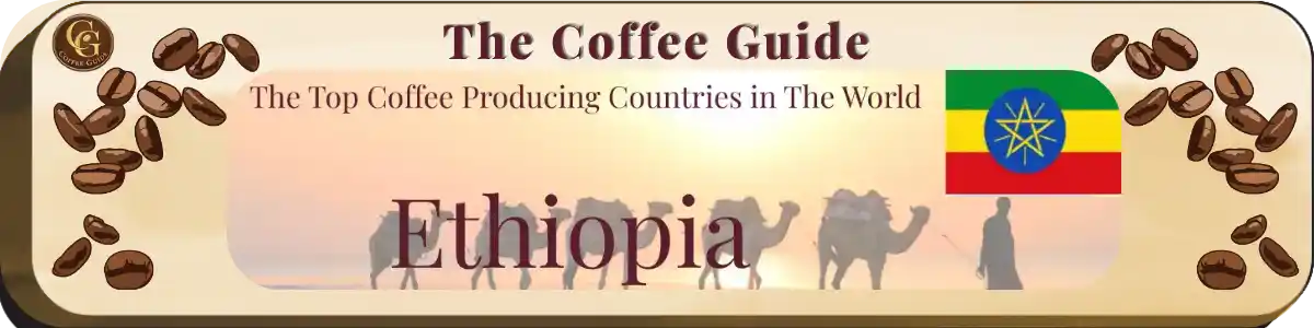 Top producing countries Ethiopia