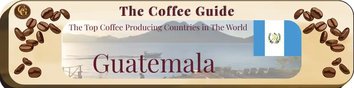 top coffee producing countries Guatemala
