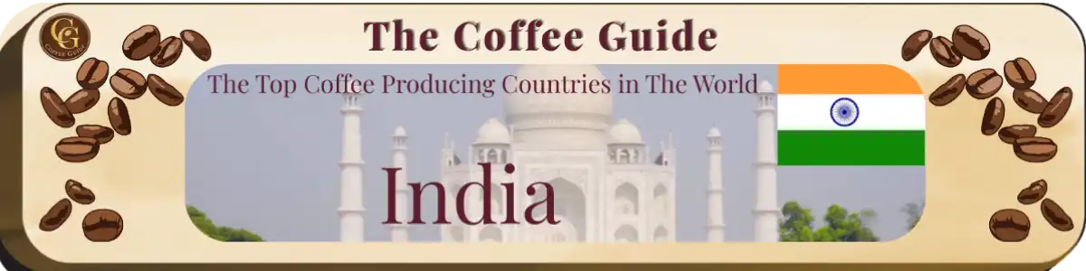 Top Coffee Producing Countries Header - India
