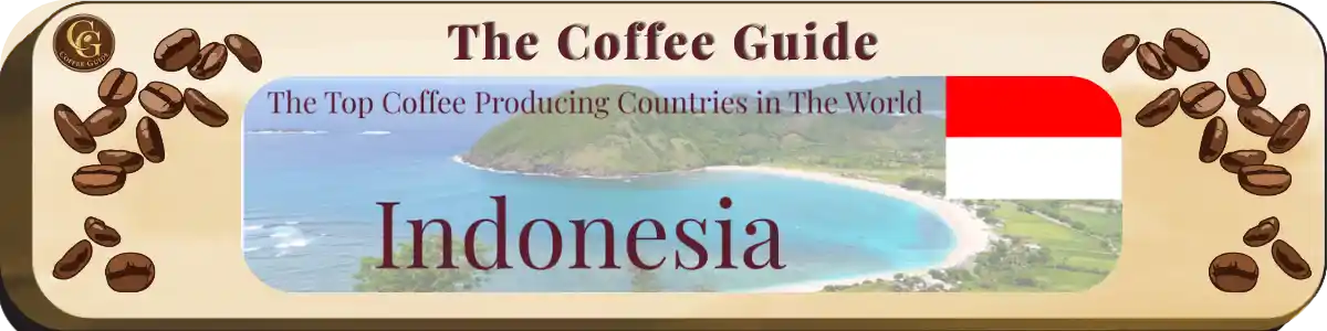Top Coffee Producing Countries - Indoneasia