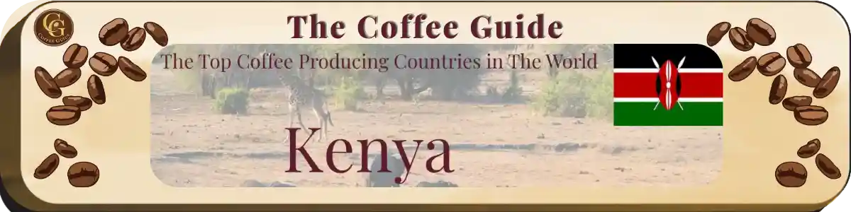 top coffee production countries Kenya