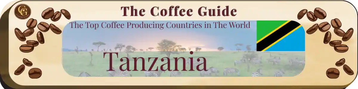 Tanzania Coffee Headerr