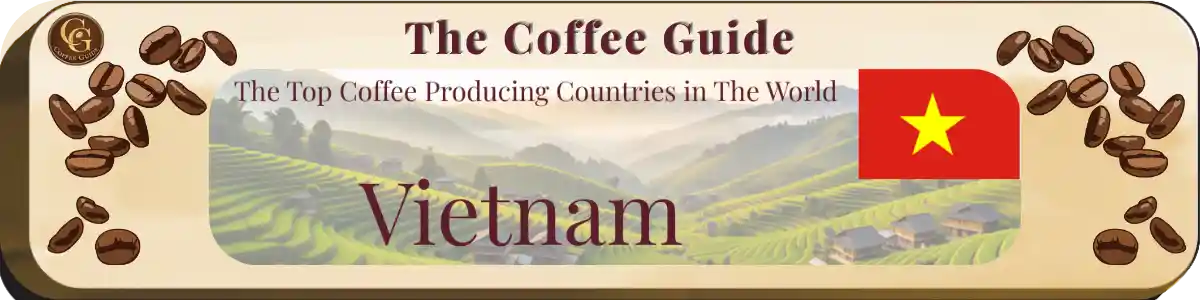 Top coffee producing countries - Vietnam