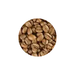 Light Roasted Coffee Beans