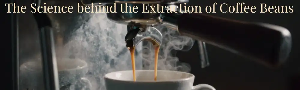 the extraction of coffee through an espresso machine