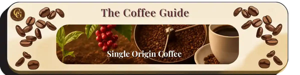 single origin coffee red coffee cherries with a roasting tray and a cup of single origing coffee