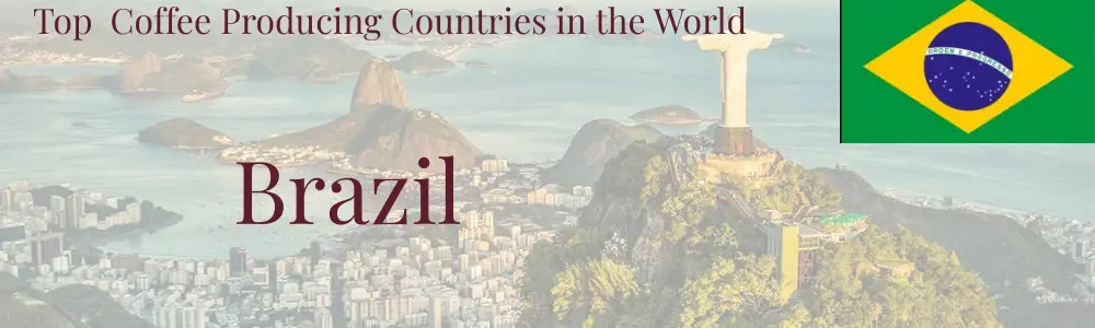 Brazil Top Coffee|Producing Countries