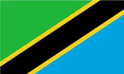 Tanzanian National Flag