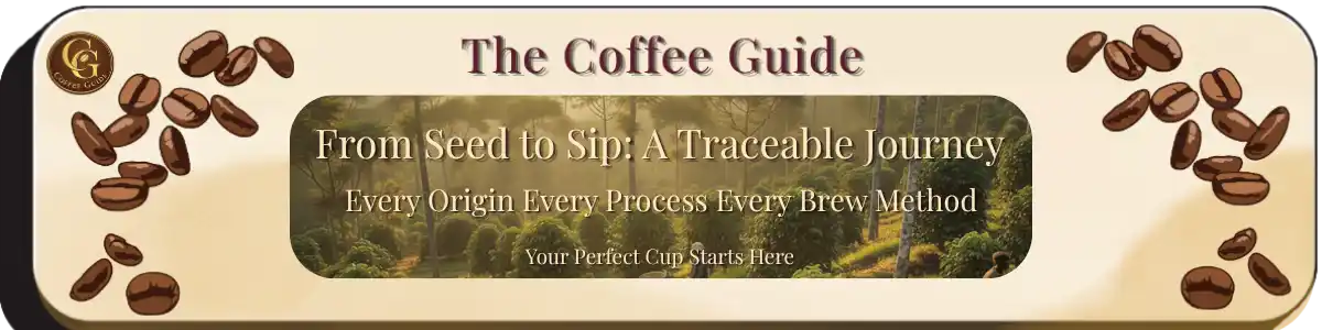 front page header showing a misty hillside coffee plantation