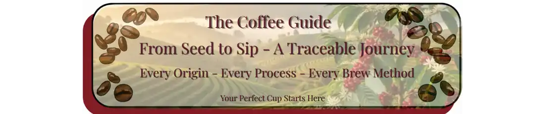 ront page header showing a misty hillside coffee plantation